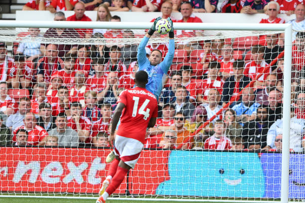 是亚历山大 是亚历山大