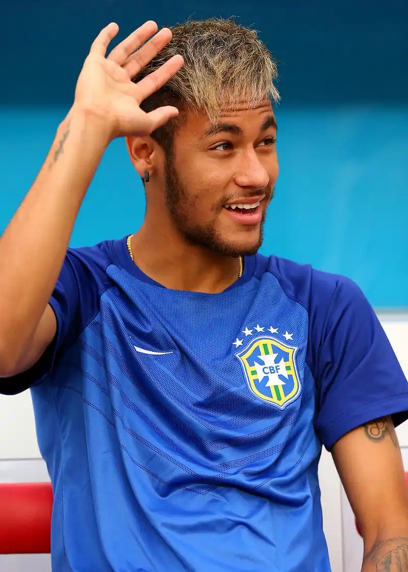 将可能成为 将可能成为